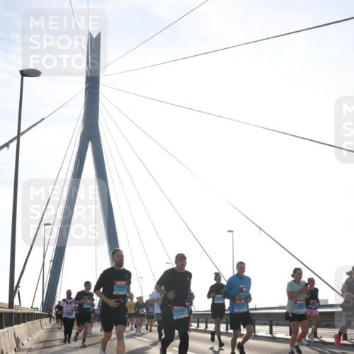 03.10.2026 - Köhlbrandbrückenlauf Tim E. http://msf.ph/oto/10616624 03.10.2026 09:34:00 Position 1  meine-sportfotos.de