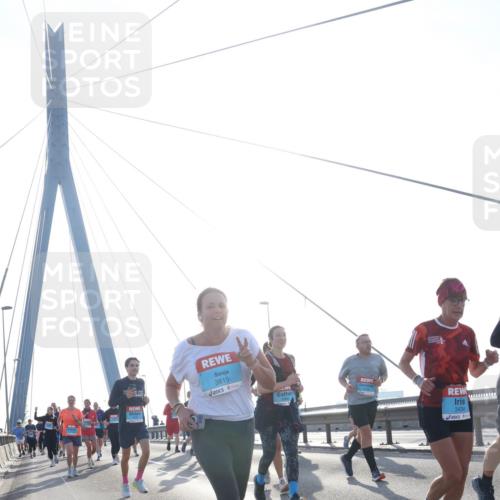 03.10.2026 - Köhlbrandbrückenlauf Tim E. http://msf.ph/oto/10617021 03.10.2026 09:34:27 Position 1 3815, 3434 meine-sportfotos.de