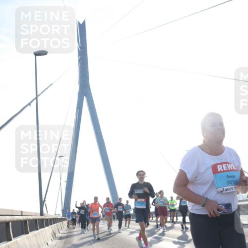 03.10.2026 - Köhlbrandbrückenlauf Tim E. http://msf.ph/oto/10617025 03.10.2026 09:34:27 Position 1 3815 meine-sportfotos.de