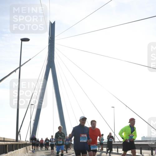 03.10.2026 - Köhlbrandbrückenlauf Tim E. http://msf.ph/oto/10617734 03.10.2026 09:35:42 Position 1  meine-sportfotos.de