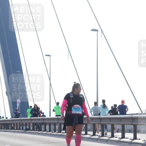 03.10.2026 - Köhlbrandbrückenlauf Tim E. http://msf.ph/oto/10627230 03.10.2026 09:46:07 Position 1 83368 meine-sportfotos.de