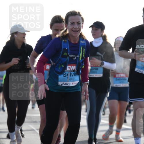 03.10.2026 - Köhlbrandbrückenlauf LenaG. http://msf.ph/oto/10658906 03.10.2026 09:32:05 Position 1 2083, 445, 3761 meine-sportfotos.de