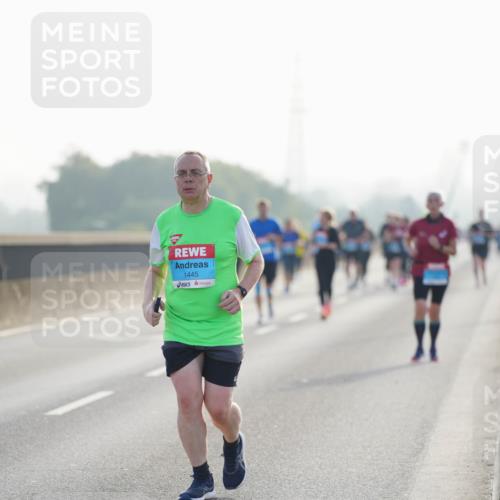 03.10.2026 - Köhlbrandbrückenlauf LAZAROV Photography http://msf.ph/oto/10686203 03.10.2026 09:30:33 Position 3 1445 meine-sportfotos.de