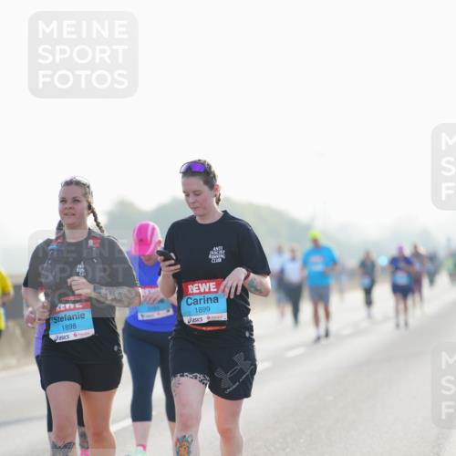 03.10.2026 - Köhlbrandbrückenlauf LAZAROV Photography http://msf.ph/oto/10686256 03.10.2026 09:31:00 Position 3 1898, 1899 meine-sportfotos.de