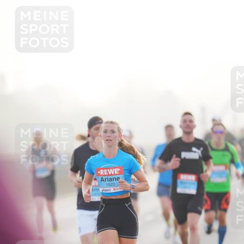 03.10.2026 - Köhlbrandbrückenlauf LAZAROV Photography http://msf.ph/oto/10687426 03.10.2026 09:14:14 Position 3 1523 meine-sportfotos.de