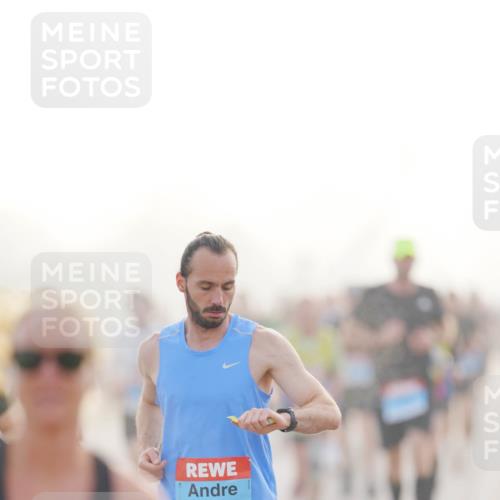 03.10.2026 - Köhlbrandbrückenlauf LAZAROV Photography http://msf.ph/oto/10687495 03.10.2026 09:14:27 Position 3 2149 meine-sportfotos.de