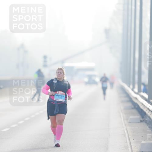 03.10.2026 - Köhlbrandbrückenlauf LAZAROV Photography http://msf.ph/oto/10688056 03.10.2026 09:33:12 Position 3 3368 meine-sportfotos.de