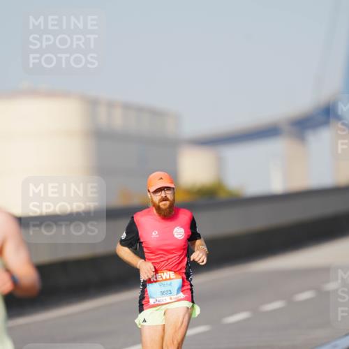 03.10.2026 - Köhlbrandbrückenlauf LAZAROV Photography http://msf.ph/oto/10688590 03.10.2026 09:37:00 Position 3 3823 meine-sportfotos.de