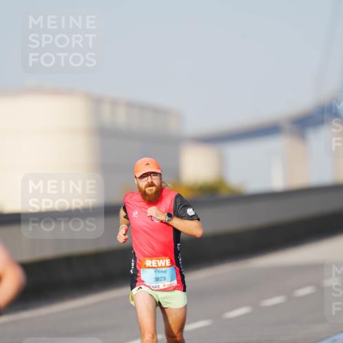 03.10.2026 - Köhlbrandbrückenlauf LAZAROV Photography http://msf.ph/oto/10688593 03.10.2026 09:37:00 Position 3 3823 meine-sportfotos.de