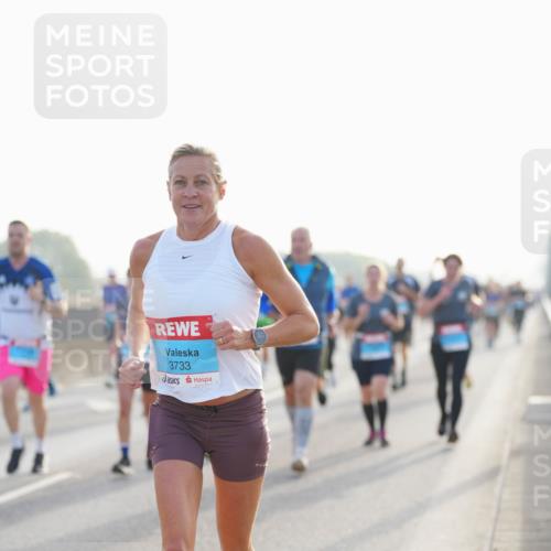 03.10.2026 - Köhlbrandbrückenlauf LAZAROV Photography http://msf.ph/oto/10700708 03.10.2026 09:23:37 Position 3 3733 meine-sportfotos.de