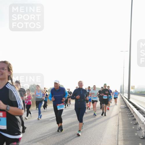 03.10.2026 - Köhlbrandbrückenlauf LAZAROV Photography http://msf.ph/oto/10701262 03.10.2026 09:25:03 Position 3  meine-sportfotos.de