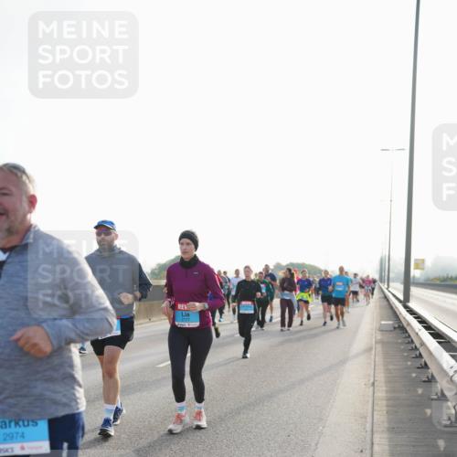 03.10.2026 - Köhlbrandbrückenlauf LAZAROV Photography http://msf.ph/oto/10701544 03.10.2026 09:26:17 Position 3 2974, 1913, 2777 meine-sportfotos.de