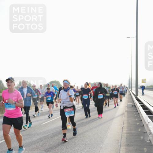 03.10.2026 - Köhlbrandbrückenlauf LAZAROV Photography http://msf.ph/oto/10701918 03.10.2026 09:28:05 Position 3 3399, 3443 meine-sportfotos.de