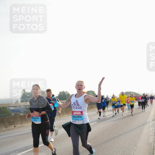 03.10.2026 - Köhlbrandbrückenlauf LAZAROV Photography http://msf.ph/oto/10702059 03.10.2026 09:28:48 Position 3 3208, 2421 meine-sportfotos.de