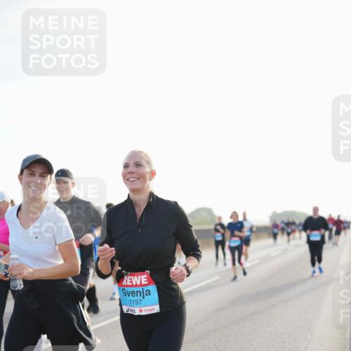 03.10.2026 - Köhlbrandbrückenlauf LAZAROV Photography http://msf.ph/oto/10702255 03.10.2026 09:29:58 Position 3 1197 meine-sportfotos.de