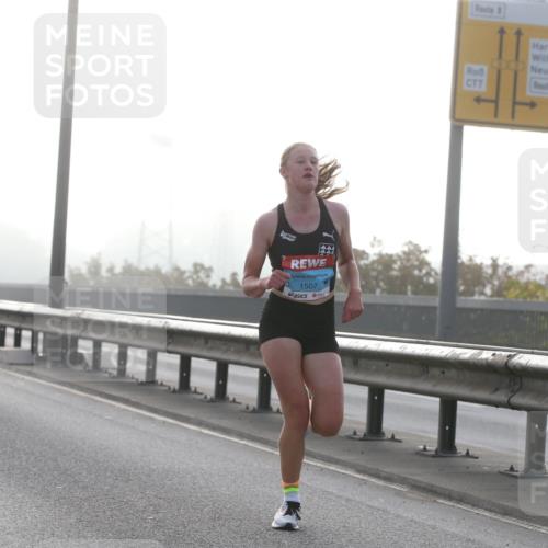 03.10.2026 - Köhlbrandbrückenlauf Jannik Wohlers http://msf.ph/oto/10703903 03.10.2026 09:12:49 Position 3 1507 meine-sportfotos.de