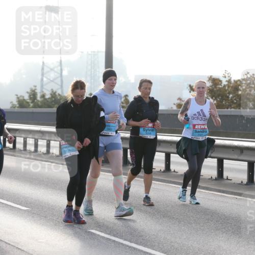 03.10.2026 - Köhlbrandbrückenlauf Jannik Wohlers http://msf.ph/oto/10708163 03.10.2026 09:27:45 Position 3 1658, 3595, 3151, 3805, 3208, 2421 meine-sportfotos.de