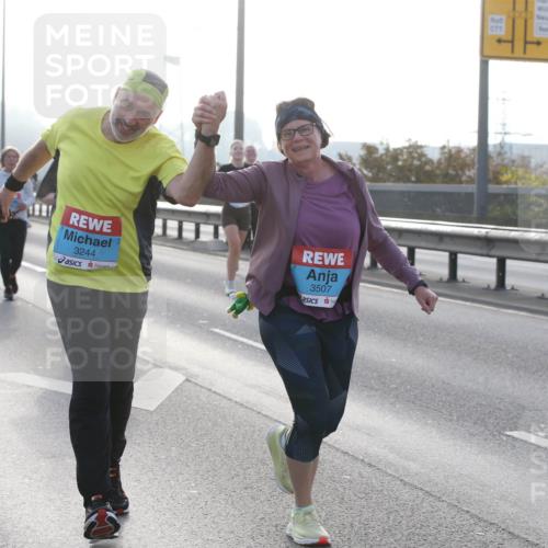 03.10.2026 - Köhlbrandbrückenlauf Jannik Wohlers http://msf.ph/oto/10708374 03.10.2026 09:28:34 Position 3 36, 3244, 3507 meine-sportfotos.de