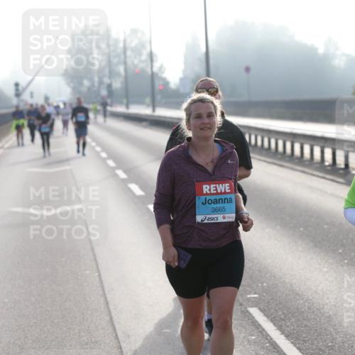 03.10.2026 - Köhlbrandbrückenlauf Jannik Wohlers http://msf.ph/oto/10708725 03.10.2026 09:30:54 Position 3 3665, 3252 meine-sportfotos.de
