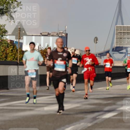 03.10.2026 - Köhlbrandbrückenlauf Michael Burmester http://msf.ph/oto/10766161 03.10.2026 09:46:04 Position 3  meine-sportfotos.de