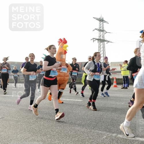 03.10.2026 - Köhlbrandbrückenlauf Michael Burmester http://msf.ph/oto/10767882 03.10.2026 09:25:25 Position 3 3004, 2337, 1307 meine-sportfotos.de