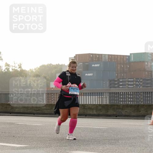 03.10.2026 - Köhlbrandbrückenlauf Michael Burmester http://msf.ph/oto/10769229 03.10.2026 09:29:59 Position 3 3368 meine-sportfotos.de