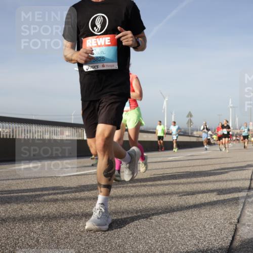 03.10.2026 - Köhlbrandbrückenlauf Yannick Fuchs http://msf.ph/oto/10778151 03.10.2026 09:44:49 Position 2 3825 meine-sportfotos.de