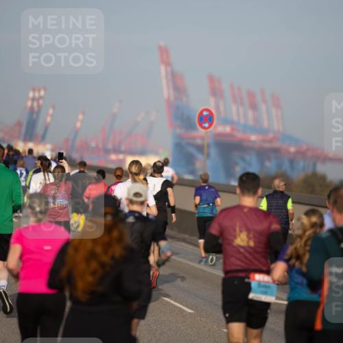 03.10.2026 - Köhlbrandbrückenlauf Michael Strokosch http://msf.ph/oto/10804018 03.10.2026 09:24:22 Position 3 2025, 0 meine-sportfotos.de