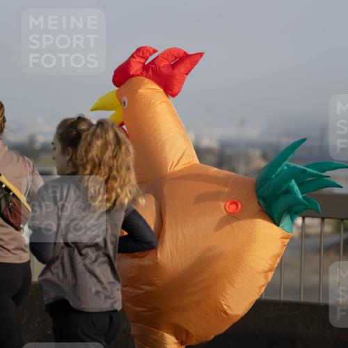 03.10.2026 - Köhlbrandbrückenlauf Michael Strokosch http://msf.ph/oto/10804052 03.10.2026 09:28:01 Position 3  meine-sportfotos.de