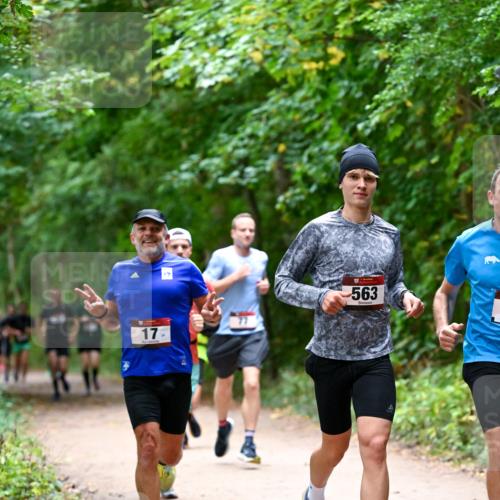 11.10.2026 - Bramfelder Halbmarathon 2026 Dr. Thomas Lammeyer http://msf.ph/oto/10815906 11.10.2026 09:50:17 Laufen 17, 24, 563 meine-sportfotos.de