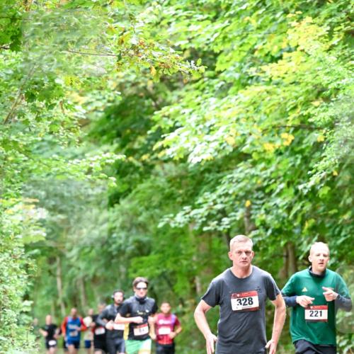 11.10.2026 - Bramfelder Halbmarathon 2026 Dr. Thomas Lammeyer http://msf.ph/oto/10815929 11.10.2026 09:50:24 Laufen 328, 221 meine-sportfotos.de