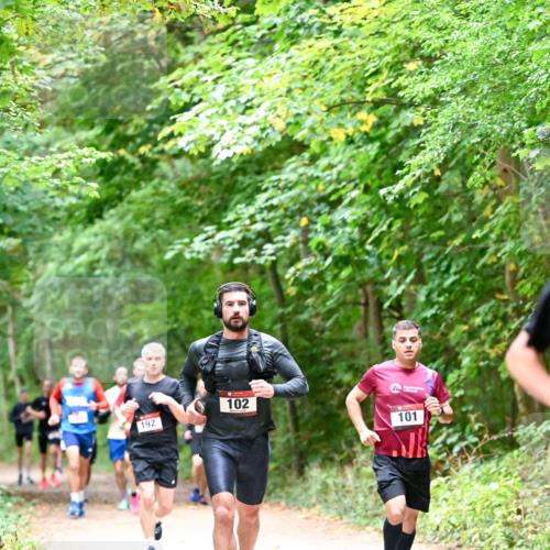 11.10.2026 - Bramfelder Halbmarathon 2026 Dr. Thomas Lammeyer http://msf.ph/oto/10815957 11.10.2026 09:50:29 Laufen 102, 192, 101 meine-sportfotos.de
