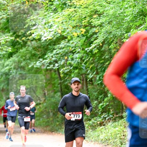 11.10.2026 - Bramfelder Halbmarathon 2026 Dr. Thomas Lammeyer http://msf.ph/oto/10815961 11.10.2026 09:50:36 Laufen 773, 43 meine-sportfotos.de