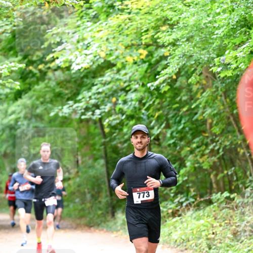 11.10.2026 - Bramfelder Halbmarathon 2026 Dr. Thomas Lammeyer http://msf.ph/oto/10815967 11.10.2026 09:50:36 Laufen 246, 773 meine-sportfotos.de