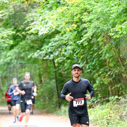11.10.2026 - Bramfelder Halbmarathon 2026 Dr. Thomas Lammeyer http://msf.ph/oto/10815970 11.10.2026 09:50:37 Laufen 773 meine-sportfotos.de