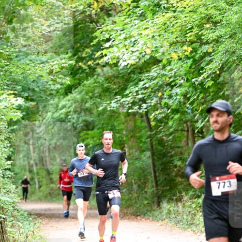 11.10.2026 - Bramfelder Halbmarathon 2026 Dr. Thomas Lammeyer http://msf.ph/oto/10815972 11.10.2026 09:50:37 Laufen 23, 773 meine-sportfotos.de