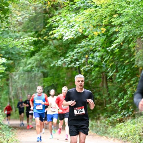 11.10.2026 - Bramfelder Halbmarathon 2026 Dr. Thomas Lammeyer http://msf.ph/oto/10815977 11.10.2026 09:50:31 Laufen 155, 192 meine-sportfotos.de