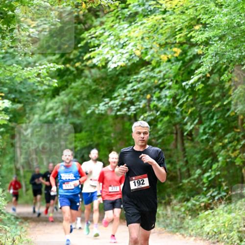 11.10.2026 - Bramfelder Halbmarathon 2026 Dr. Thomas Lammeyer http://msf.ph/oto/10815979 11.10.2026 09:50:31 Laufen 272, 192 meine-sportfotos.de