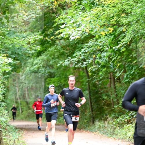 11.10.2026 - Bramfelder Halbmarathon 2026 Dr. Thomas Lammeyer http://msf.ph/oto/10815981 11.10.2026 09:50:38 Laufen 231, 43 meine-sportfotos.de