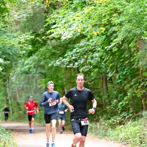 11.10.2026 - Bramfelder Halbmarathon 2026 Dr. Thomas Lammeyer http://msf.ph/oto/10815993 11.10.2026 09:50:38 Laufen 231, 43 meine-sportfotos.de
