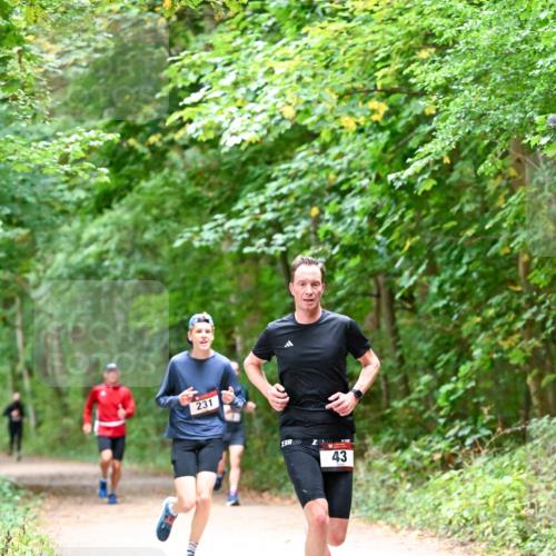11.10.2026 - Bramfelder Halbmarathon 2026 Dr. Thomas Lammeyer http://msf.ph/oto/10815998 11.10.2026 09:50:38 Laufen 231, 43 meine-sportfotos.de