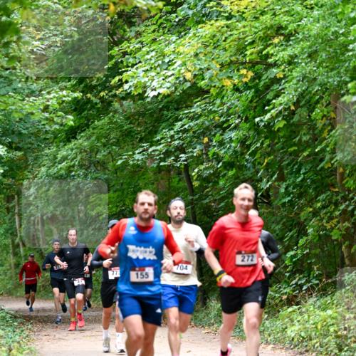 11.10.2026 - Bramfelder Halbmarathon 2026 Dr. Thomas Lammeyer http://msf.ph/oto/10816002 11.10.2026 09:50:33 Laufen 231, 773, 155, 704, 272 meine-sportfotos.de