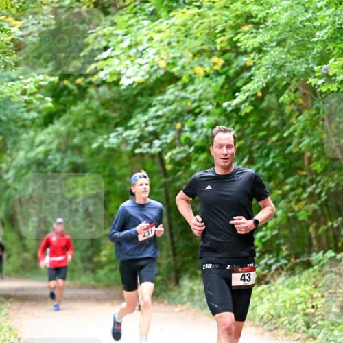 11.10.2026 - Bramfelder Halbmarathon 2026 Dr. Thomas Lammeyer http://msf.ph/oto/10816010 11.10.2026 09:50:39 Laufen 231, 13800, 720, 43 meine-sportfotos.de