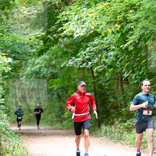 11.10.2026 - Bramfelder Halbmarathon 2026 Dr. Thomas Lammeyer http://msf.ph/oto/10816039 11.10.2026 09:50:43 Laufen 9 meine-sportfotos.de
