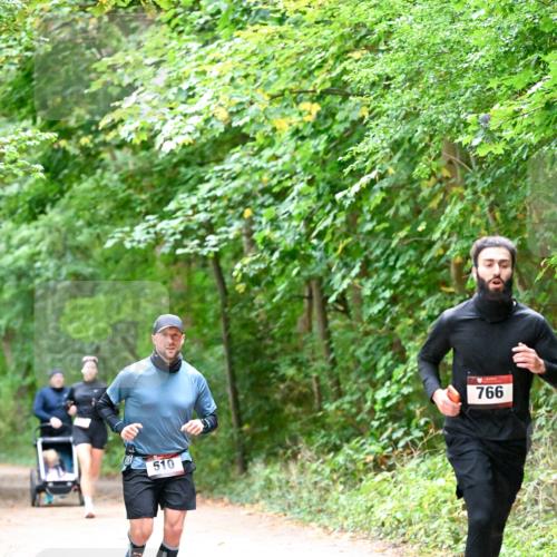 11.10.2026 - Bramfelder Halbmarathon 2026 Dr. Thomas Lammeyer http://msf.ph/oto/10816047 11.10.2026 09:50:54 Laufen 510, 766 meine-sportfotos.de