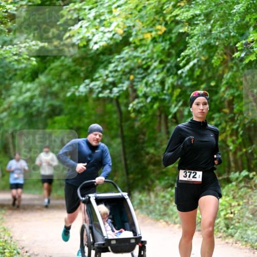 11.10.2026 - Bramfelder Halbmarathon 2026 Dr. Thomas Lammeyer http://msf.ph/oto/10816075 11.10.2026 09:51:00 Laufen 372 meine-sportfotos.de