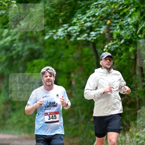 11.10.2026 - Bramfelder Halbmarathon 2026 Dr. Thomas Lammeyer http://msf.ph/oto/10816085 11.10.2026 09:51:06 Laufen 345 meine-sportfotos.de