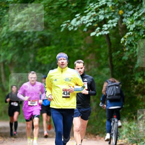 11.10.2026 - Bramfelder Halbmarathon 2026 Dr. Thomas Lammeyer http://msf.ph/oto/10816158 11.10.2026 09:51:54 Laufen 460, 36, 434 meine-sportfotos.de