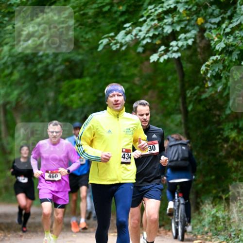 11.10.2026 - Bramfelder Halbmarathon 2026 Dr. Thomas Lammeyer http://msf.ph/oto/10816160 11.10.2026 09:51:54 Laufen 460, 434, 30 meine-sportfotos.de