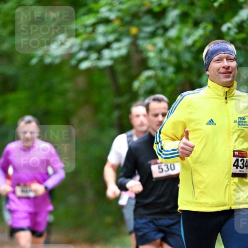11.10.2026 - Bramfelder Halbmarathon 2026 Dr. Thomas Lammeyer http://msf.ph/oto/10816174 11.10.2026 09:51:57 Laufen 36, 18, 21, 2, 530, 35, 434 meine-sportfotos.de
